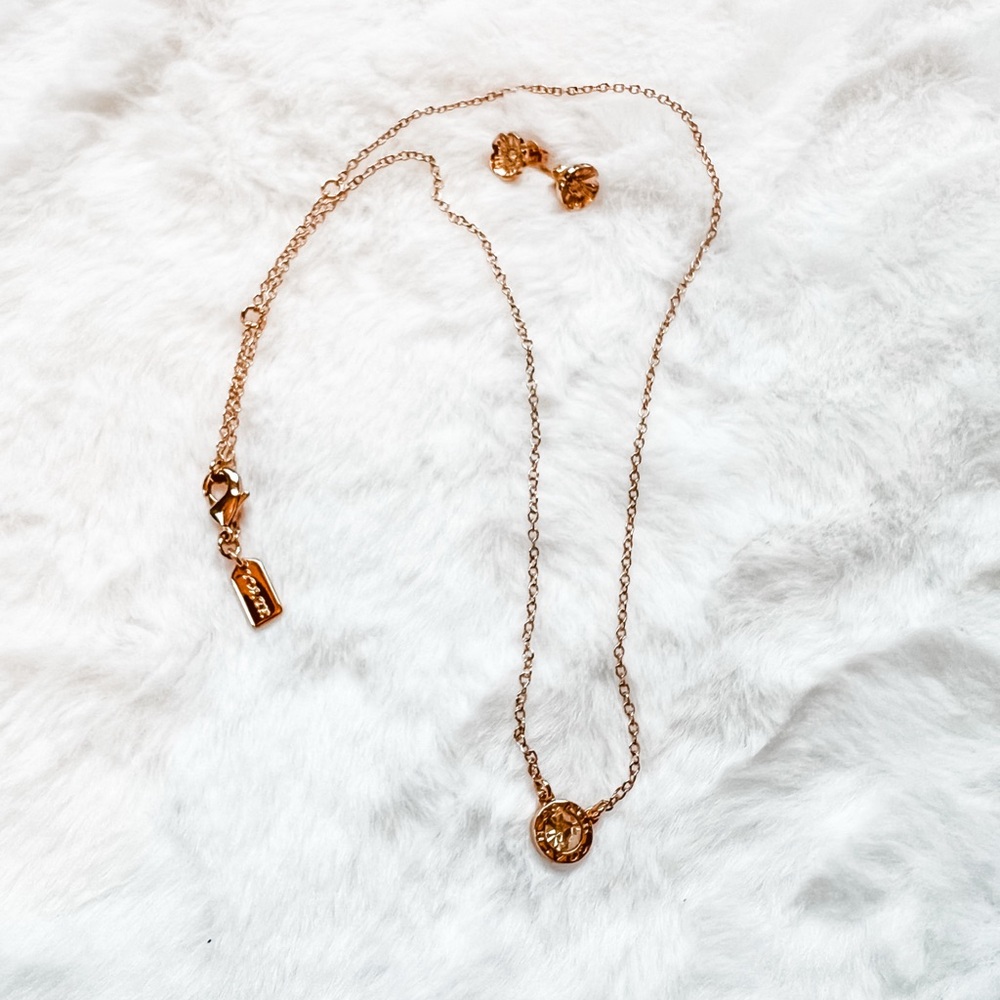 Coach Rose Gold Necklace and Earring Set